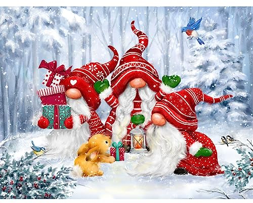 NAIMOER Weihnachten Diamond Painting Kits für Erwachsene Kinder, 5D Diamant Painting Winter Bilder Erwachsene, Diamond Painting Gnome Bilder Kinder Malerei Set für Home Dekor 30x40cm