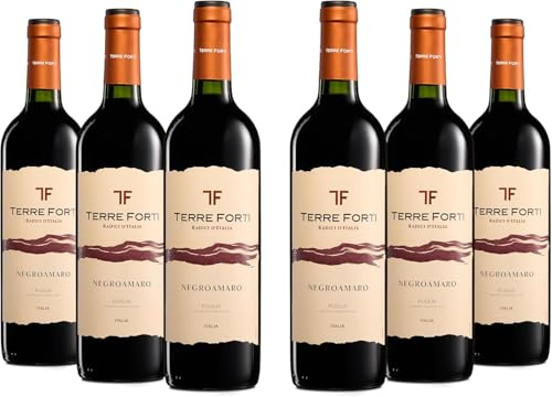 Terre Forti Negroamaro Puglia IGT, Italienischer Rotwein mit Rundem und Vollem Geschmack mit Noten Schwarzer Früchte, 12,5% Vol., Karton mit 6 Flaschen mit jeweils 750 ml