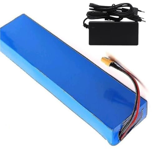 48V 20Ah Battery Lithium Battery 13S3P Electric Bicycle Moped Electric Waterproof Li Ion Battery Pack with Charger(T)