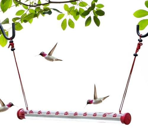 Kolibri Futterstation | Wilde Vogelfutter Für Im Freien,Kolibri Trink- Und Fütterungssystem Rote Tassen Für Balkon Zweig Garten