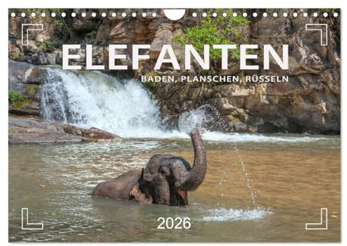 Elefanten - Baden, Planschen, Rüsseln (Wandkalender 2026 DIN A4 quer), CALVENDO Monatskalender: Planschvergnügen und Badespaß für die Jumbos (CALVENDO Tiere)