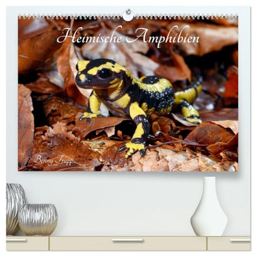 Heimische Amphibien (hochwertiger Premium Wandkalender 2026 DIN A2 quer), Kunstdruck in Hochglanz: Frösche, Molche, Salamander, Kröten und Unken ... bedürfen besonderem Schutz (CALVENDO Tiere)