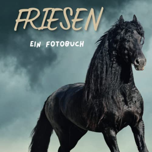 Friesen: Ein Fotobuch