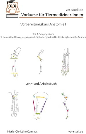 Vorbereitungskurs Anatomie I: Vorkurse für Tiermediziner:innen