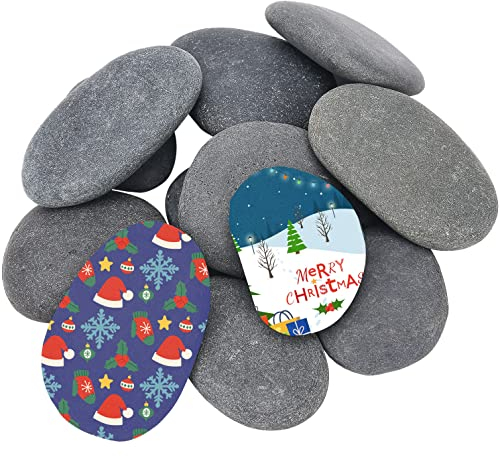 Hisredsun 13 Stück Flache Steine zum Bemalen, 5–8 cm Glatte Große Kieselsteine, Dekosteine Naturstein,Natürlicher Flussstein für Mandala Bemalen,Zen Garten,Blumentöpfen und Aquarien
