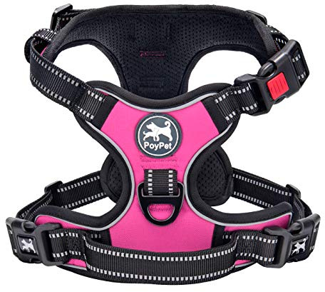 PoyPet Dog Harness Small, No Pull with Front Clip & Neck Release Buckle | No Choke, Lockable, 2 Leash D-rings, Adjustable Vest, Reflective, Oxford, Soft Padded Handle for Walking Training, S, Pink