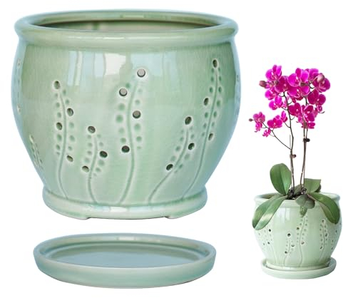 pavtner Maceta de cerámica para orquídeas de 6.3 pulgadas, macetas de orquídeas con agujeros, maceta grande para trasplantar, agujeros de ventilación transpirables para raíces, maceta de cerámica