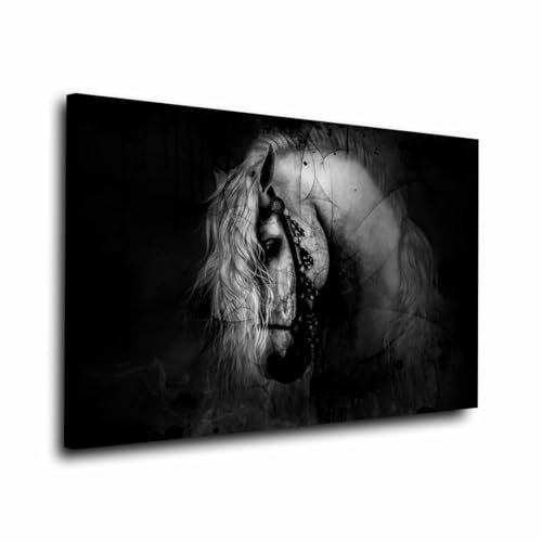 Weißes Pferd Black Tier Wandbild Leinwandbild Deko Kunst XL Größe 90x60x2cm