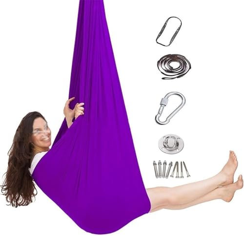 Sensorische Therapieschaukel Kinder Tuch Schaukel, Kinderschaukel Mit Autismus, ADHS, Kinderschaukel Indoor, Hängesessel Indoor Für Kinder Erwachsene Tuchschaukel Mit Zubehör(Purple,150x280CM/59x110in