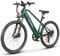 SAMEBIKE E Bike (a01 Men, Green)
