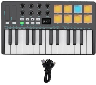 POENVFPO 25 Key MIDI Keyboard Controller, BT MIDI Pad with Velocity Sensitive Keys, Arpeggiator, Chord Function, Rechargeable Battery, Wireless Receivers, for DAW Production and Music (Black)