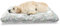 ABAKUHAUS Einhorn Haustierbett, Mythische Pferde Hörner, beissfestes Kissen für Hunde und Katzen mit abnehmbaren Bezug, 60 cm x 100 cm, Mehrfarbig