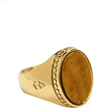 Rock and Steel Deus Gold Siegelring Männerring aus Edelstahl mit Tigerauge Stein, Herren-Ring (72 (23.0 mm))