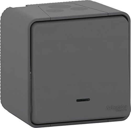 Schneider Electric MUR35028 Bouton Poussoir lumineux mureva Styl, 250 V, Gris