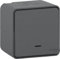 Schneider Electric MUR35028 Bouton Poussoir lumineux mureva Styl, 250 V, Gris