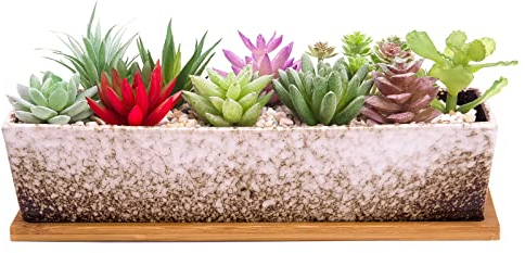 Grands Pots de Plantes succulentes avec Drainage, Pot de bonsaï rectangulaire de 30,5 cm de Long avec Plateau Peu Profond en céramique Cactus Fleur Plante fenêtre pour Jardin à la Maison
