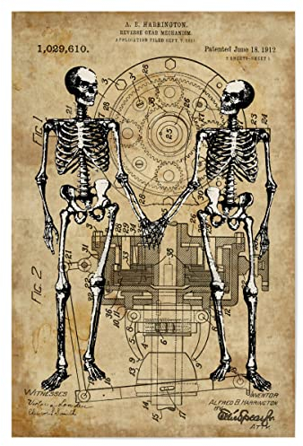artboxONE Poster 30x20 cm Anatomie Menschen Skelett Love hochwertiger Design Kunstdruck - Bild Skelett patent schädel