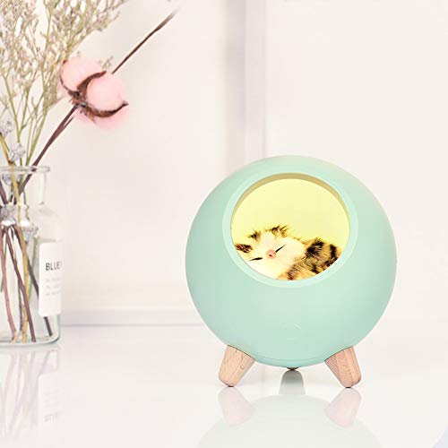 BORDSTRACT Veilleuse de Chat Mignon, Lampe de Chat Portable à LED Avec Batterie Rechargeable USB pour Chambre D'enfant, Chevet, Décoration de Chambre Mignonne, Cadeaux(vert)