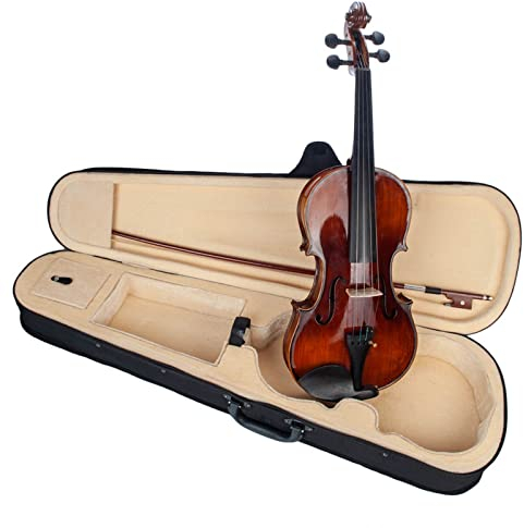 TSTS Violine anfänger Akustische Violine 4/4 Full Size Massivholz Violine/Geige Bausatz Brasilholz Bogen Ebenholz Saitenhalter Und Wirbel