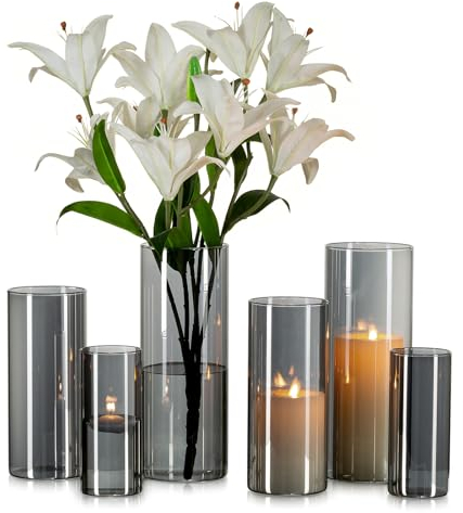 Glasseam Grau Glasvase Zylinder Vase Rund: 6er Moderne Glasvasen Set für Wohnzimmer Tischdeko - Anthrazit Große Vasen Glas Tulpen Rose Zylindervasen Windlicht für Stumpenkerzen (15/20/25cm)