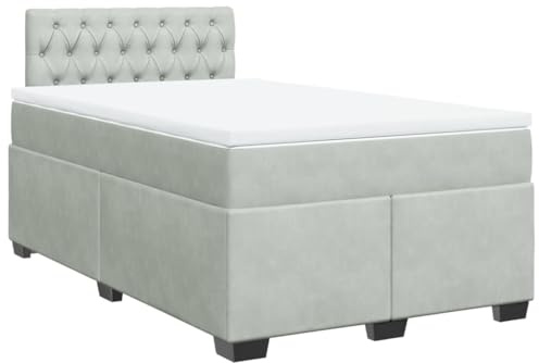 vidaXL Boxspringbett mit Matratze Hellgrau 120x200 cm Samt