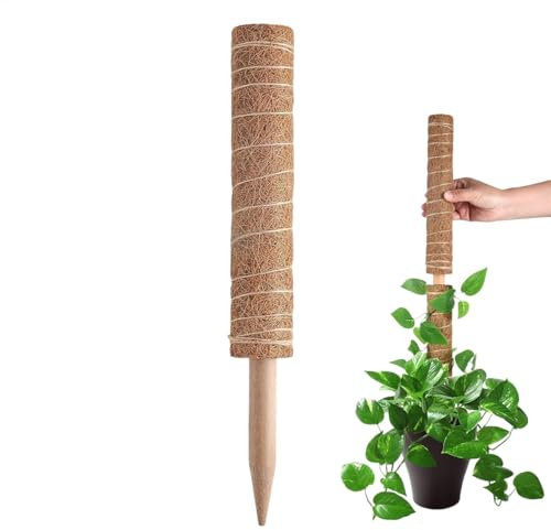 Bastone di muschio al cocco – Asta di supporto per piante, asta di cocco espandibile | Strumento per piante in griglia, supporto duraturo e crescita sana per Monstera, Pothos e Filode