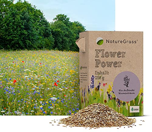 NatureGrass FlowerPower | Blumenmischung Mehrjährig Winterhart | Wildblumensamen für Eine Blütenreiche Blumenwiese | Bienenfreundliche Blumensamen für Garten & Balkon | 250g für 65 m²