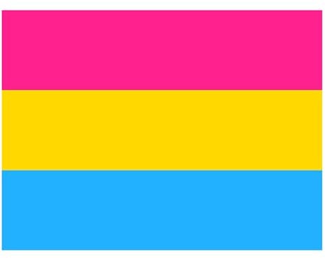Große Pan-Pride-Flagge 3 x 5 FT aus strapazierfähigem Stoff | Helle und bunte pansexuelle Banner für die Dekoration von Balkon, Garten, Fenster, Parade, Festival und Raum – Deko-Flagge