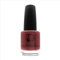 Diego Dalla Palma Smalto Colore n 344 Unghie Rosa Mattone 14 ml