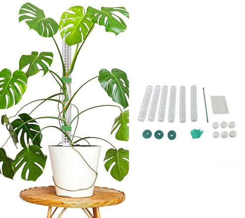 Serlium Poteau de Mousse en Plastique, Paquet de 6 poteaux de Plante empilables bâtons de Support de Plante Monstera pour Plante grimpante en Pot intérieure et extérieure, 10 Pouces Blanc