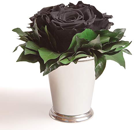 ROSEMARIE SCHULZ Heidelberg Schwarze Infinity Blumen in silberfarbenen Becher 3 ewige Rose konserviert (Schwarz, 3 Rosen)