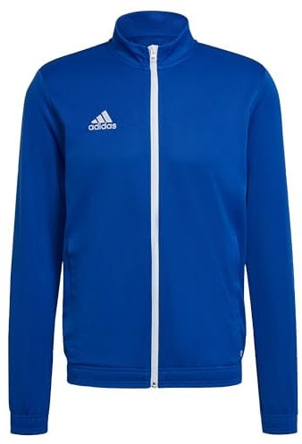 adidas Uomo Entrada 22 Track Jacket, Royal Blue, S
