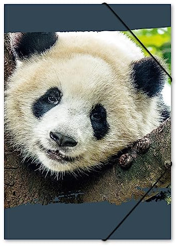 itenga Zeichenmappe DIN A3 mit Motiv - Gummizugmappe Sammelmappe - für Kinder Jugendliche Schüler Mädchen Jungen (Panda - A3)