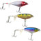 3 Pcs Angel Köder, Köder, Welsköder, Oberflächenköder, Angelköder für Süß- und Salzwasser, Angelköder für Wels, Wels Köder Set, Angel Köder Wels
