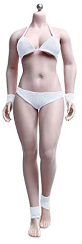 ZSMD 1/6 Maßstab Weibliche Nahtlose Körper Figur Puppenkörper mit Edelstahlskelett, PLMB2019-S29B, Kein Kopfbild
