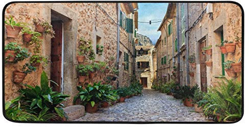 Mnsruu Tapis de sol antidérapant Aquarelle pour cuisine, entrée, couloir, salle de bain, salon, chambre à coucher 99,1 x 50,8 cm