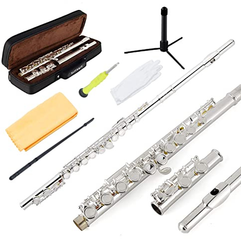 EastRock Flute Silver Closed Hole C,16 Key Flute Musical Instrument with Carrying Case, Stand, Gloves, Cleaning Cloth and Rod for Beginner,Kids, Student(Sliver)