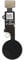DHLK® Home Button Cable compatible with iPhone 7 Plus - No Touch ID Function (A1661, A1784, A1785) Black