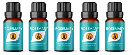 Aroma Energy | Rosemary Essential Oil - 50ml (5 x 10ml Bottles) - 100% Pure & Natural