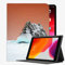 YENDOSTEEN Hülle für iPad 10.2 (9. Generation/8. Generation/7. Generation) mit stifthalter Auto Schlaf/Wach,Fels Schnee Winter 202333 Automatischem Schlaf/Aufwach