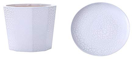 Tubo Recto Simple Maceta carnosa Hogar de cerámica con Bandeja Macetas Contenedor Plata Grieta Grano Cactus Macetas Ideal para Plantas Artesanía Regalos de Boda