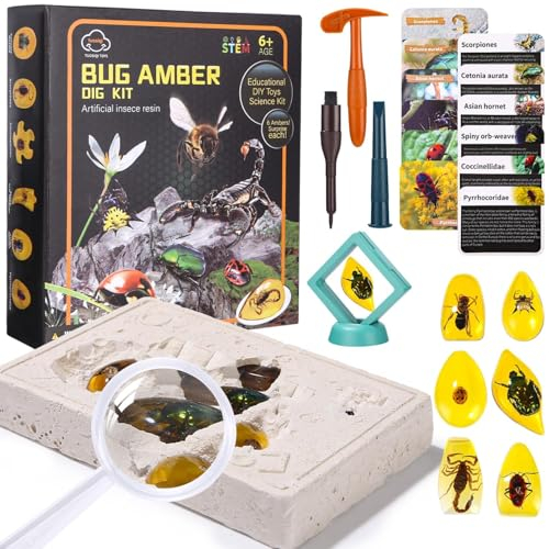 Ausgrabungsset Für Kinder Fossilien Ausgrabungsset Kinder Ausgrabungsset Edelsteine Ausgraben Set Für Mega Fossil Dig Kit Kinder Ab 5 6 7 8 9 10 11 12 Jahren
