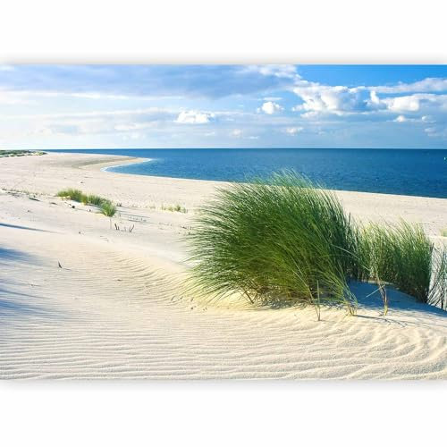 murando - Papier peint panoramique paysage 200x140 cm - Revêtement mural décoration pour chambre salon - Design moderne - Vert gris bleu - Nuages mer nature ciel paysage plage gazon c-B-0265-a-a