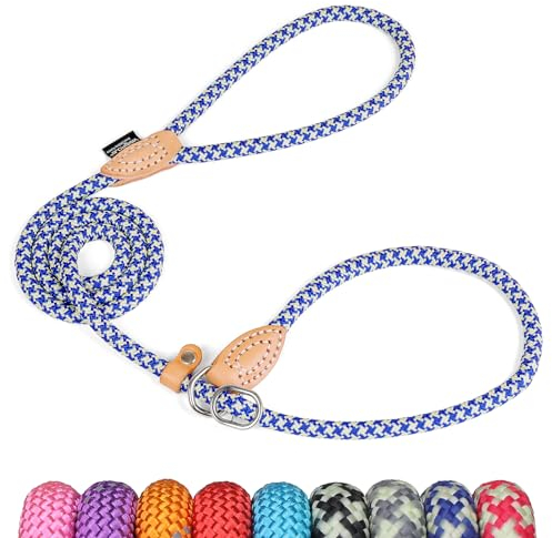 Grand Line Retrieverleine mit Zugstopp, 150 cm Moxonleine Reflektierende Hundeleine, Sicher Dauerhafte Trainingsleine Moxonleine für Kleine Mittlere und Große Hunde - 6mm, Blau-Grün
