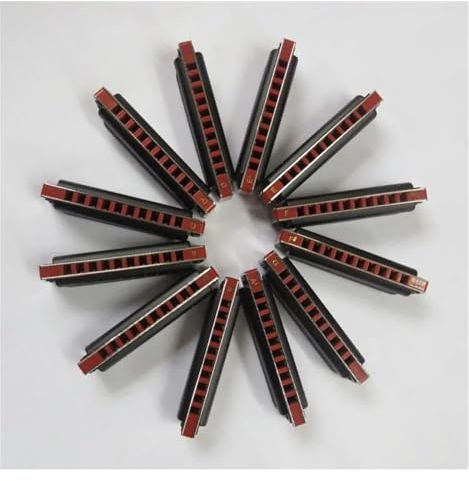 Mundharmonika 12-Tasten-Set, Blues-Harfe, Metall-Mundharmonika, diatonisch, schwarzes Cover für Anfänger