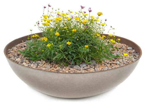 matches21 Pflanzschale für draußen - Dekoschale in Rost-Optik dunkel-grau als Blumentopf Pflanztopf - hohe Schale in 37 cm für Garten, Balkon oder Friedhof als Grab-Schmuck