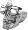 VIPbuy Porte-lunettes tête de mort, Porte-lunettes fantaisie avec plateau de rangement pour table de nuit, Sculpture tête de mort en résine, Décor de bureau pour la maison Cadeau (Argent)