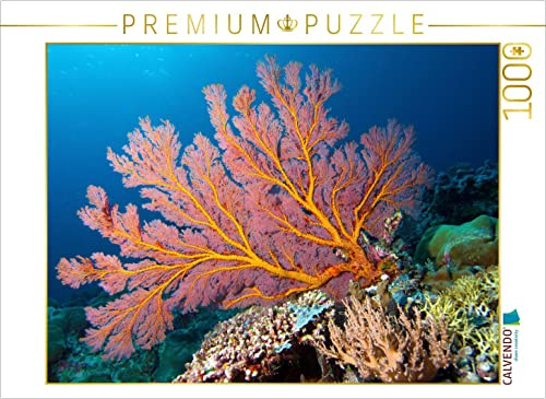 CALVENDO Puzzle Diese Fächerkoralle erglüht im Schein des Unterwasserblitz | 1000 Teile Lege-Größe 64 x 48 cm Foto-Puzzle für glückliche Stunden