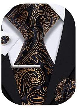 Barry.Wang Herren Seiden-Paisley-Krawatten mit Taschentuch Manschettenknopf Krawattenset Feierliche Hochzeit 3PCS