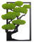 Scandinavian Moss Moosbilder in Form Eines Baumes - Schön Aussehender Wand Baum - Bringen Sie Leben Ihre Wohnung - Wandbild aus Natürlichen Rohstoffen und Deko Moos 50x31cm